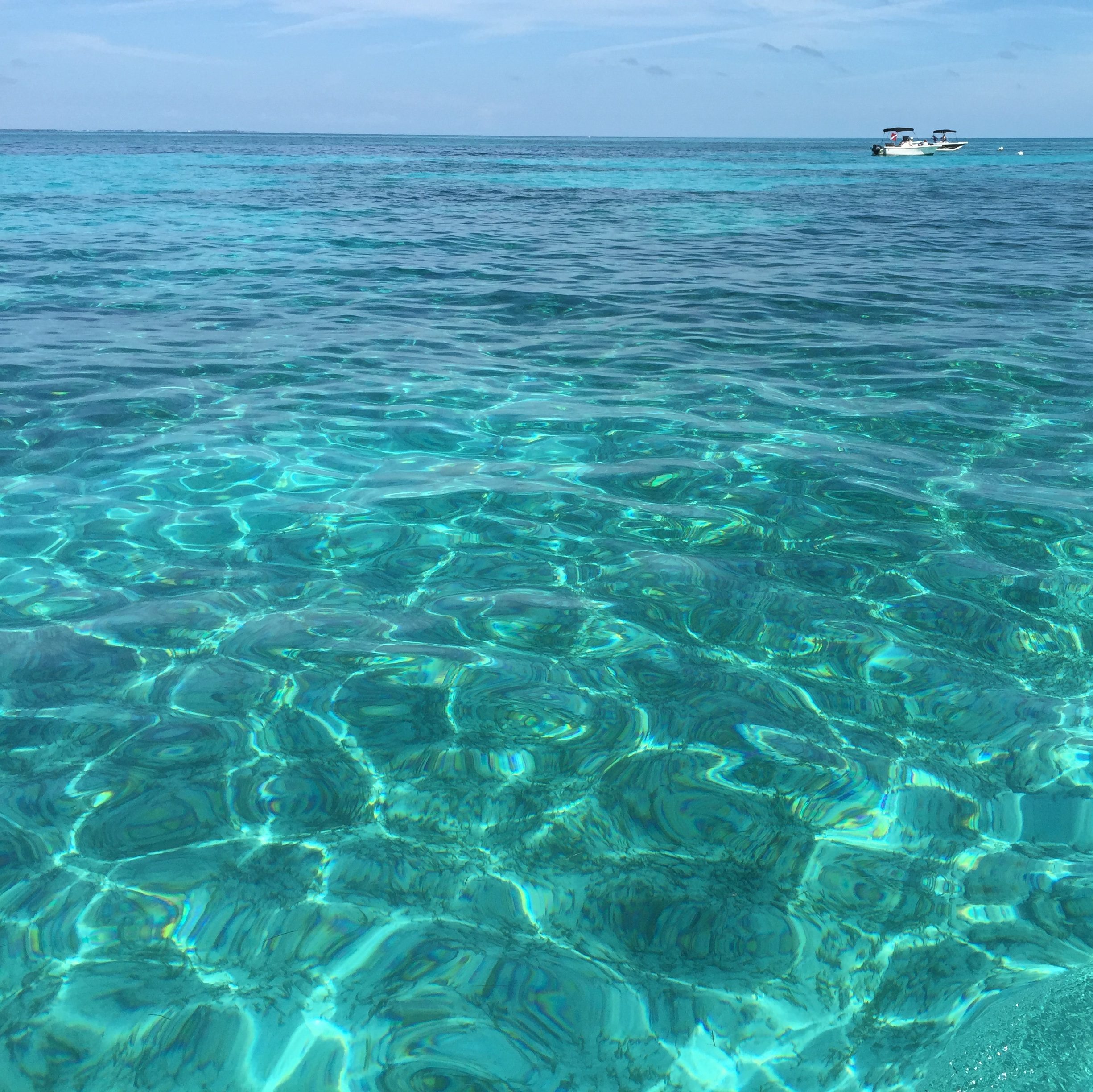 A beautiful photograph of turquoise, crystal clear ocean waters.