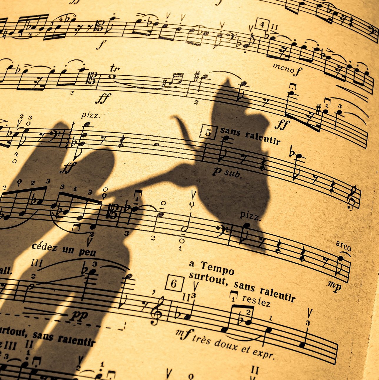A silhouette of a rose being held over a sheet of music.