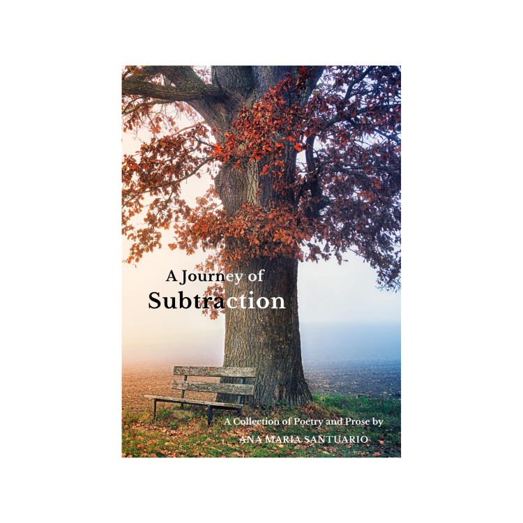 A Journey of Subtraction, front cover displays an autumnal tree with an empty tree at the base, inviting readers to sit and subtract pieces of The Self.