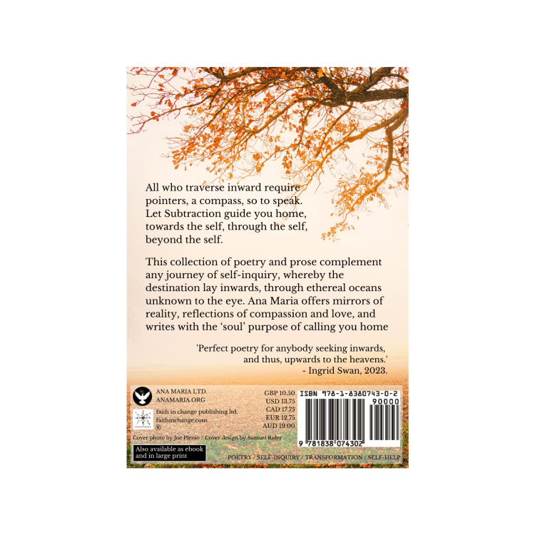 A Journey of Subtraction, back cover.